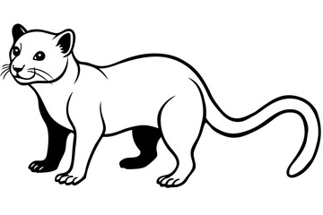 fossa silhouette line art vector illustration