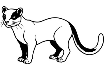 fossa silhouette line art vector illustration