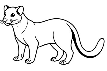 fossa silhouette line art vector illustration