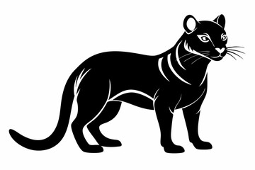 fossa silhouette line art vector illustration