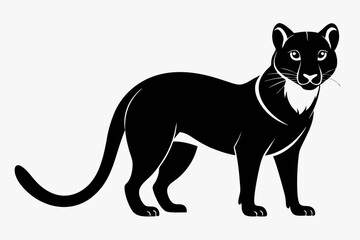 Obraz premium fossa silhouette line art vector illustration