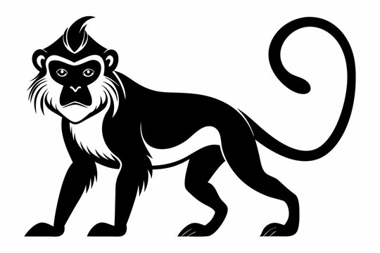 black guenon vector illustration