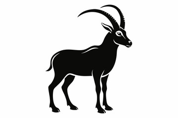 ibex silhouette line art vector illustration
