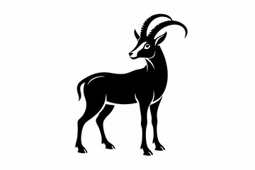 ibex silhouette line art vector illustration