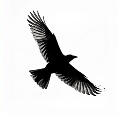 Fototapeta premium vector illustration of an eagle