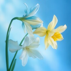 Fototapeta premium Colorful Easter eggs and spring flowers decorate a festive table for celebration.