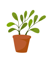 Plant In Pot Illustration 