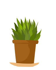Plant In Pot Illustration 