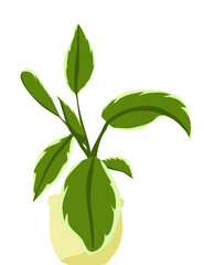 Plant In Pot Illustration 