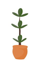 Plant In Pot Illustration 