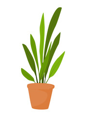 Plant In Pot Illustration 