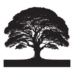 Fototapeta premium Sycamore Tree Vector Silhouette, Majestic Tree Outline, Nature-Inspired Clipart for Wall Art, Logos, Stickers, Apparel, Digital Prints, Crafts, Posters, and Home Decor.
