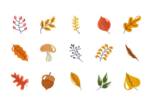 Brown And Orange Hand Drawn Autumn Nature Set