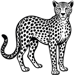 Majestic wild leopard vector illustration depicts a spotted feline predator