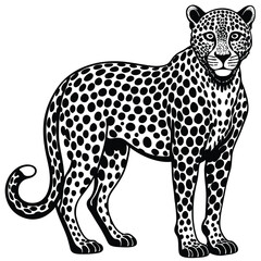 Majestic wild leopard vector illustration depicts a spotted feline predator