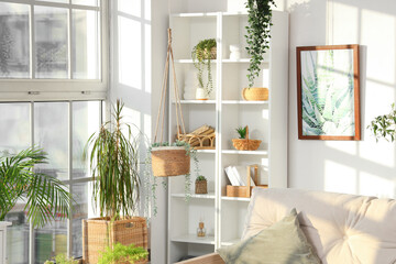 Interior of light living room with green plants and shelf unit