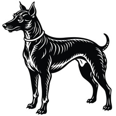 Black silhouette vector illustration of a black and white dog, a domestic animal pet