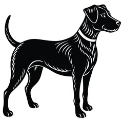 Black silhouette vector illustration of a black and white dog, a domestic animal pet