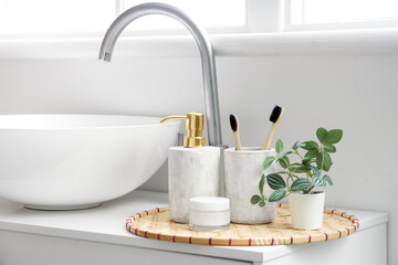 Cosmetic products with toothbrushes and houseplant near sink in bathroom