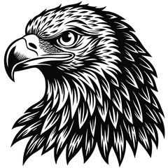 Black and white vector illustration of an isolated eagle head, a wild bird of prey with a sharp beak, a symbol of freedom