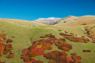 Beautiful sight of green meadows with scattered red and orange bushes and peaks in the mountain range against the clear sky.