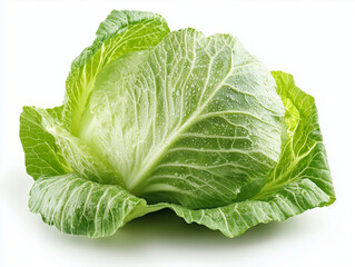 Obraz premium Fresh green cabbage with water drops on white background