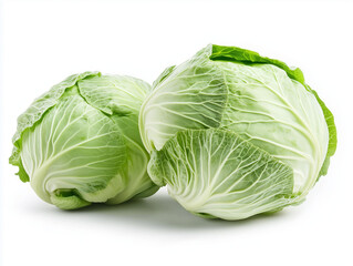 Obraz premium Two fresh green cabbages resting on white background
