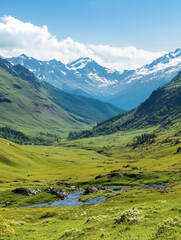 Fototapeta premium Mountain river flowing through green valley under blue sky