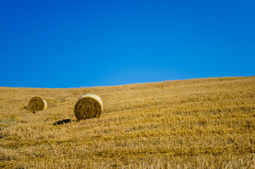 Un campo di fieno dopo la mietitura con due rotoballe in una giornata estiva con il cielo terso
