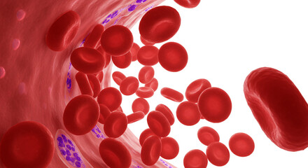 A vibrant river of lifeblood flowing through the body's intricate network, a microscopic journey into the heart of health with rich red tones and detailed cellular structures.