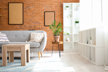 Cozy sofa and houseplant in living room