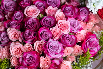 Top view of roses in shades of pink. Background