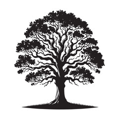 Fototapeta premium Oak Tree Vector Silhouette, Majestic Tree Outline, Nature-Inspired Clipart for Wall Art, Logos, Stickers, Apparel, Digital Prints, Crafts, Posters, and Home Decor.