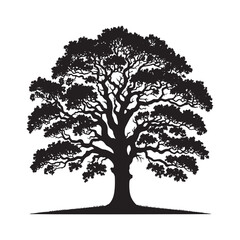 Obraz premium Oak Tree Vector Silhouette, Majestic Tree Outline, Nature-Inspired Clipart for Wall Art, Logos, Stickers, Apparel, Digital Prints, Crafts, Posters, and Home Decor.