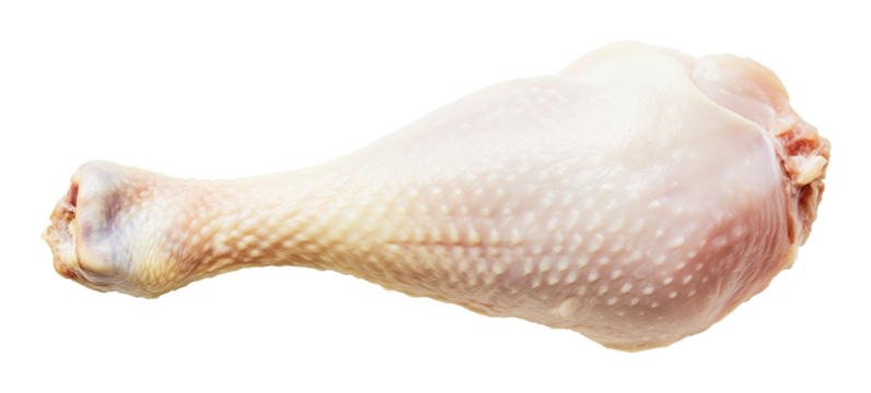 Raw chicken drumstick isolated on white with detailed texture, freshness concept