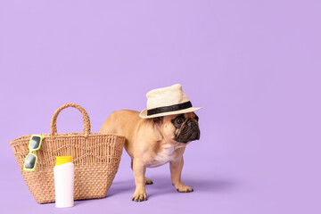 Cute French bulldog with sunscreen, sunglasses, bag and hat on lilac background
