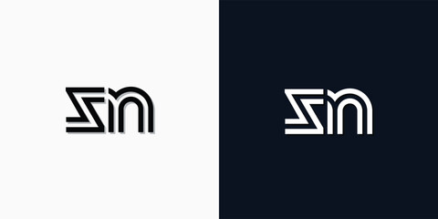Modern Abstract Initial letter SN logo.