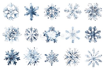 Fototapeta premium Winter Snowflake Collection