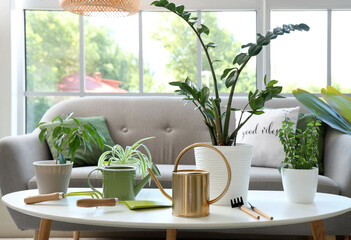 Plants with gardening tools on table in light living room
