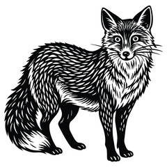 Cute vector illustration of a wild fox and cat sketch, mammal art