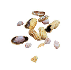 top view of peanuts isolated on white background