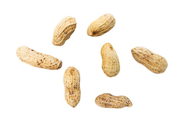 collection of peanut in shell isolated on white