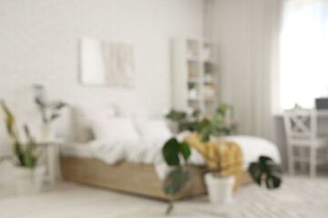 Fototapeta premium Blurred view of light bedroom with green plants and shelf unit