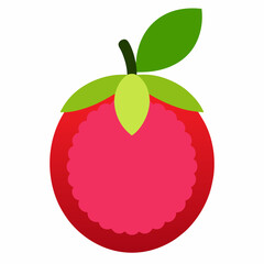 Lychee  icon on white background