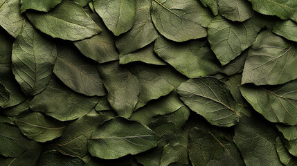 Aesthetic wallpaper of lush dark sage leaves, symbolizing tranquility and modern minimalism. The natural texture and deep hues evoke calm, elegance, and a refined organic beauty.

