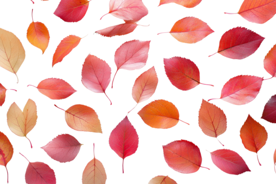 Autumn leaves pattern featuring colorful foliage A festive and vibrant seasonal image