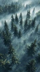 Obraz premium Aerial view of a misty pine forest, showcasing tall trees in dark green and blue hues. High contrast, soft shadows, and cinematic lighting create a hyper-realistic atmosphere.