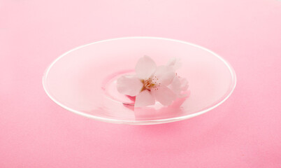 桜　　イメージ