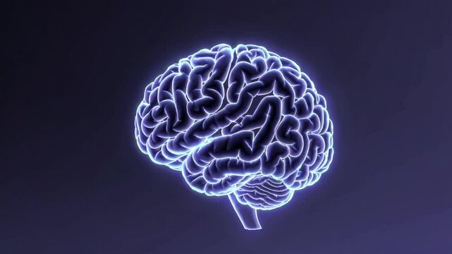 A visual of someone's brain activity during REM sleep, showing the dream state.
