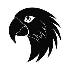 Macaw Head Silhouette on White Background